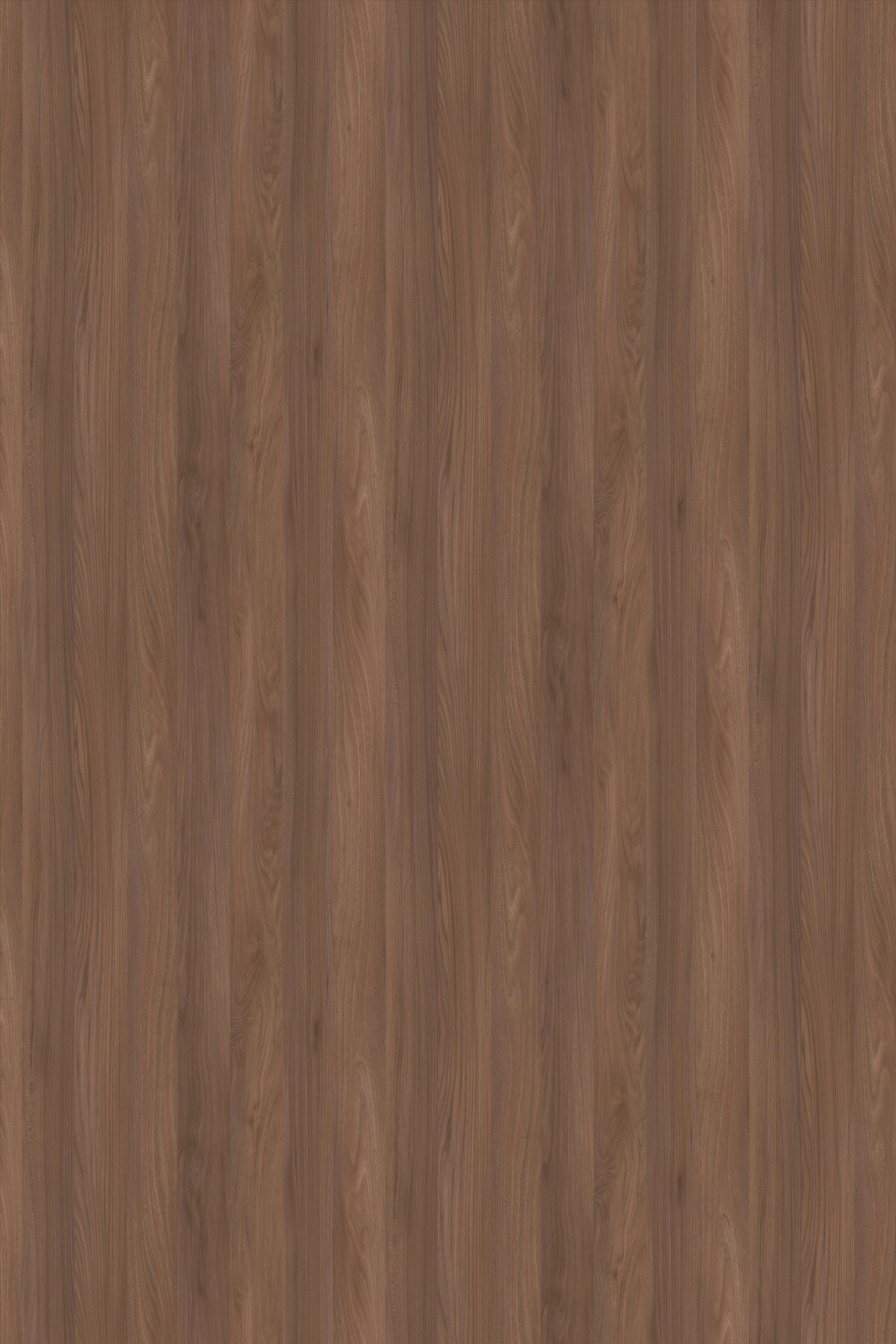 YSP503北美櫻桃