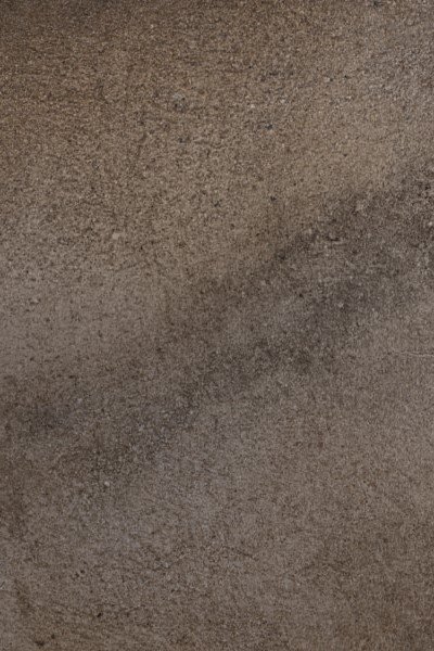 YSP513天干地支