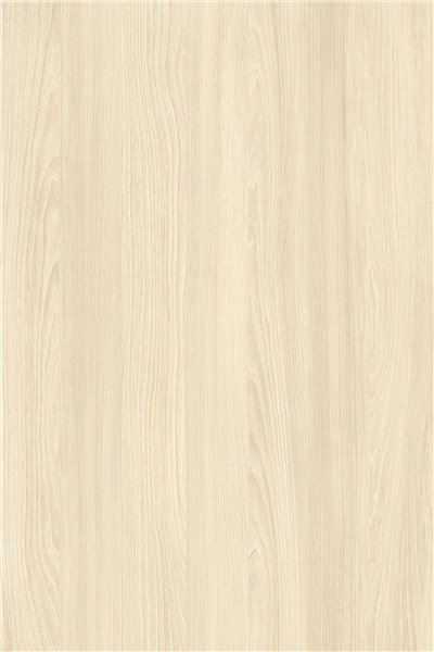 YA890伊利諾淺榆